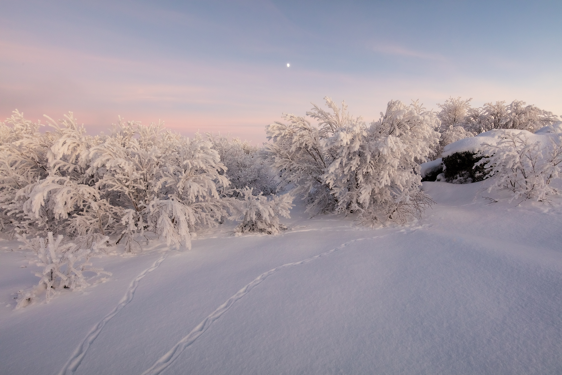 Fine art landscape photography by nature photographer, Serena Dzenis.