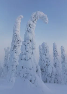 Fine art landscape photography by Serena Dzenis.