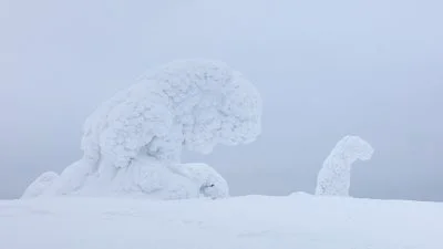 Fine art photography by Serena Dzenis.