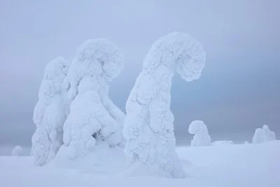 Fine art landscape photography by Serena Dzenis.