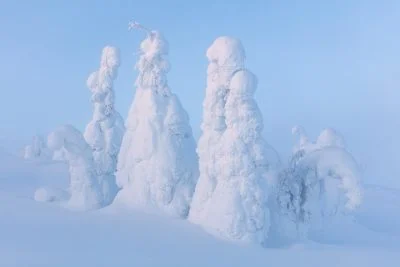 Fine art landscape photography by Serena Dzenis.