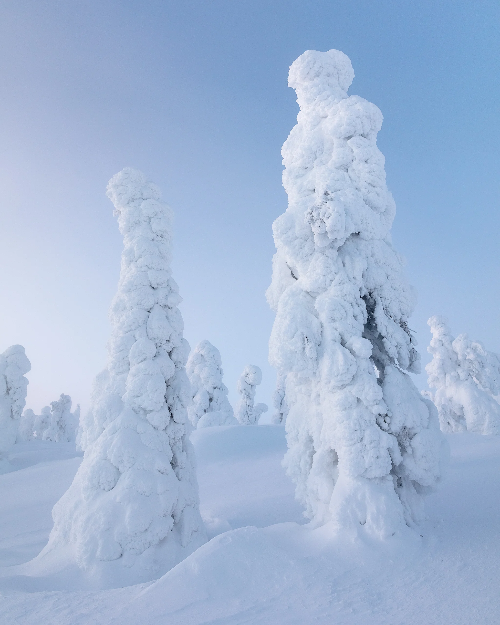 Fine art landscape photographpy by Serena Dzenis.