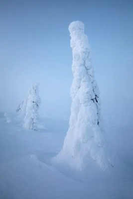 Fine art landscape photography by Serena Dzenis.