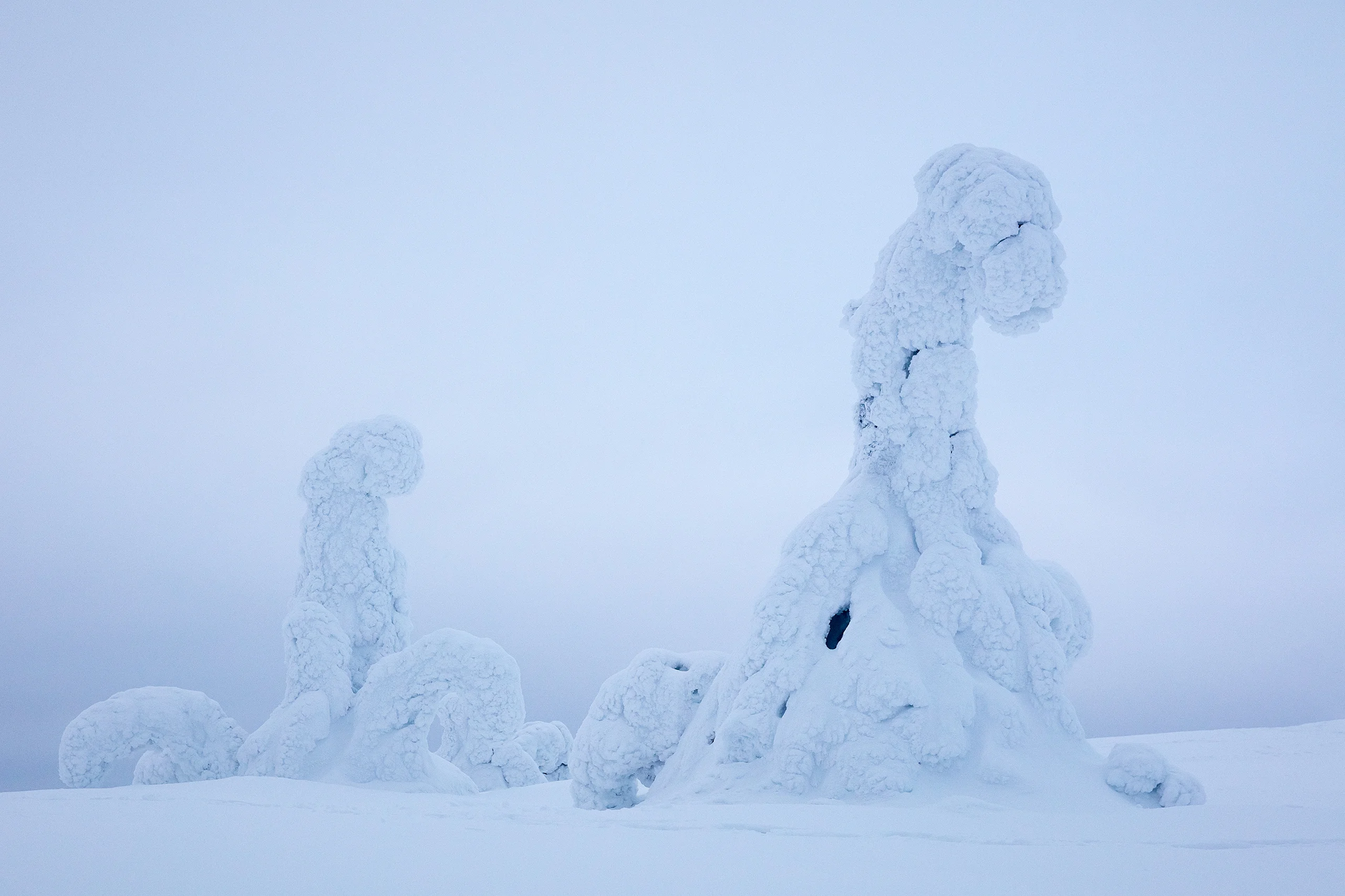 Fine art landscape photography by nature photographer, Serena Dzenis