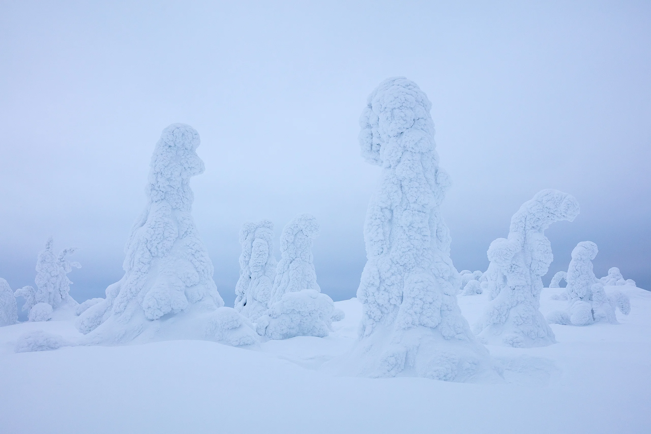 Migration of the Gnomes