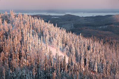 Morning Glory', Landscape photography by Serena Ho, Koli National Park, Finland