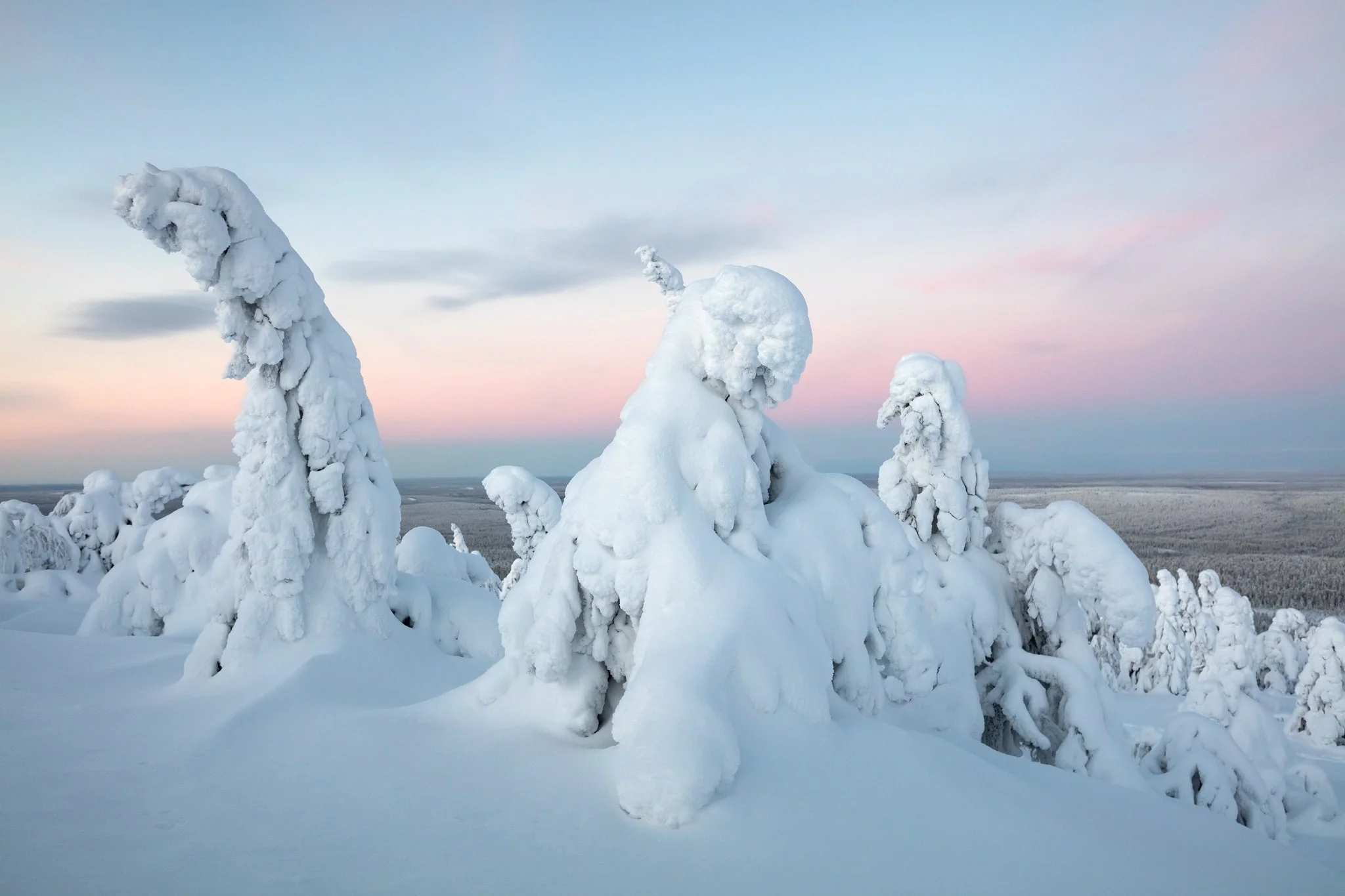 Dinosaur's Lament, Landscape photography by Serena Ho, Finland, Lapland