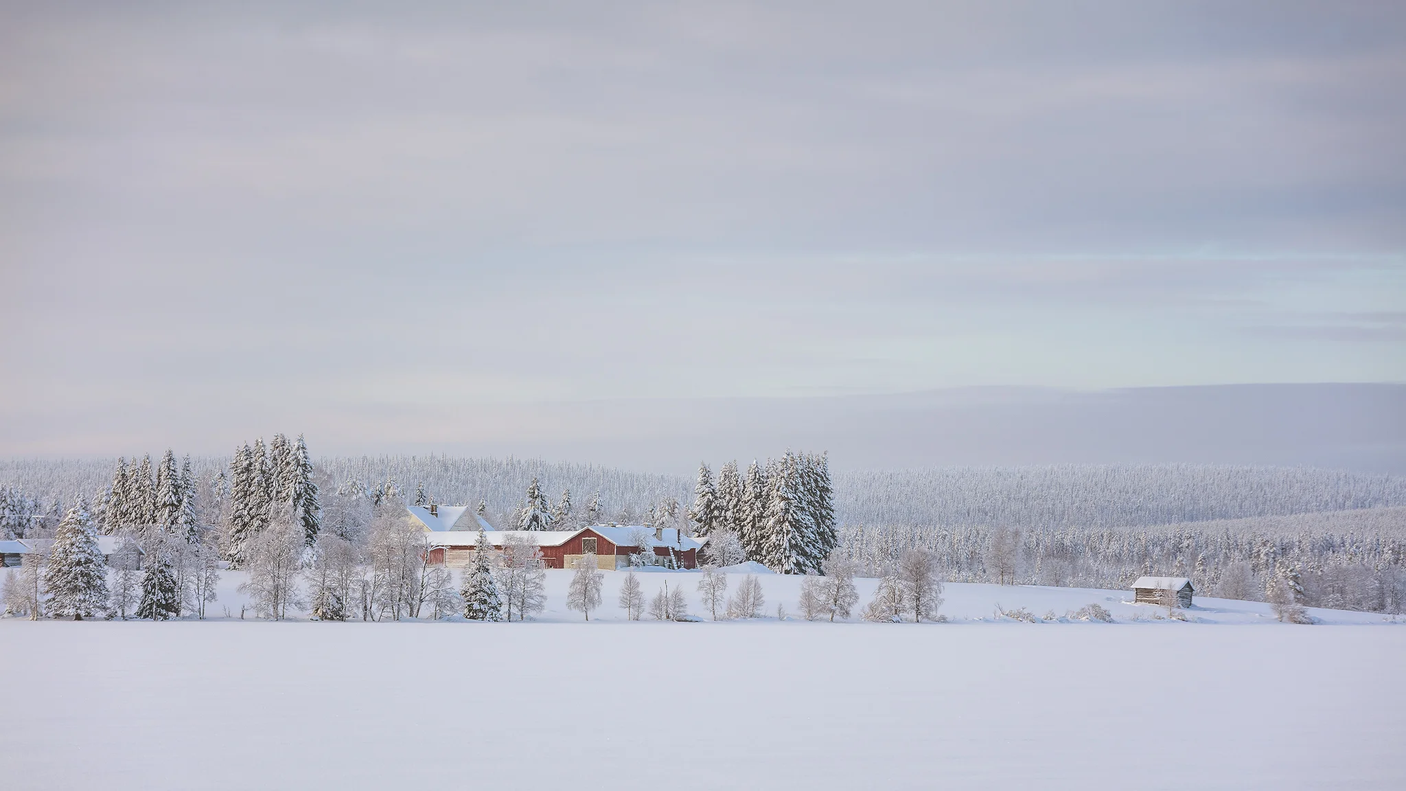 Red farmhouse surrounded by trees and snow in Finnish Lapland during winter