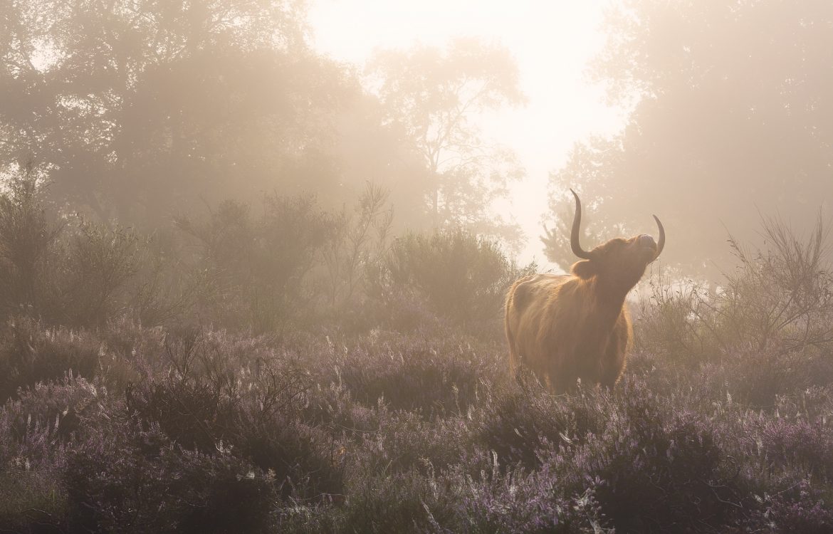 Creating Emotion in Landscape Photography