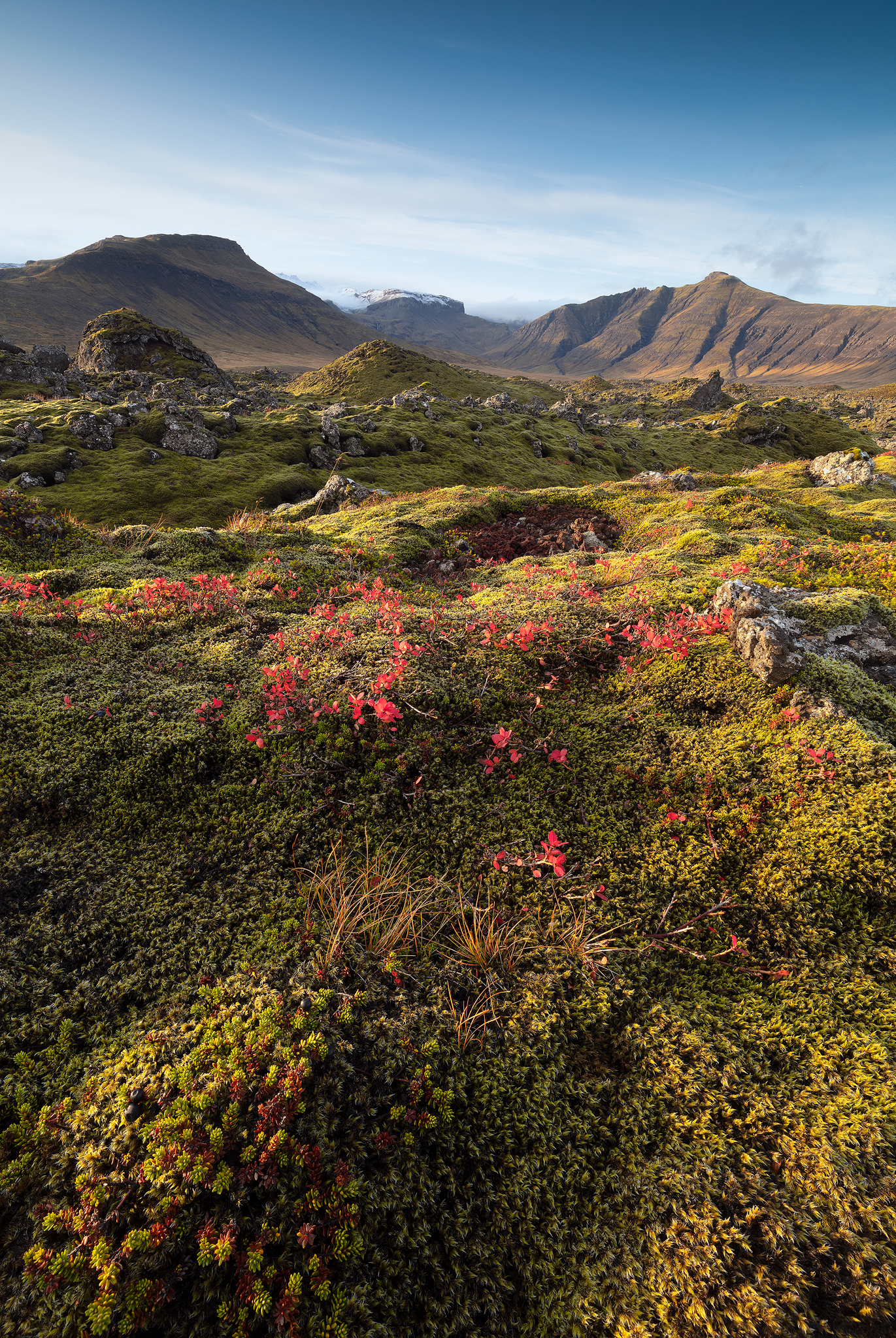 Fine art landscape photography by nature photographer, Serena Dzenis.